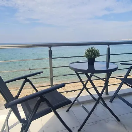 Roses * Peraia (Thessaloniki)